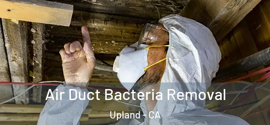Air Duct Bacteria Removal Upland - CA