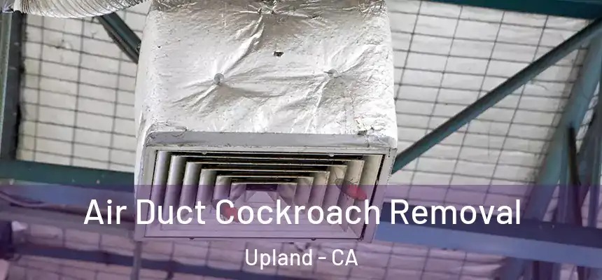 Air Duct Cockroach Removal Upland - CA