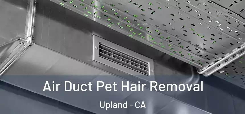 Air Duct Pet Hair Removal Upland - CA