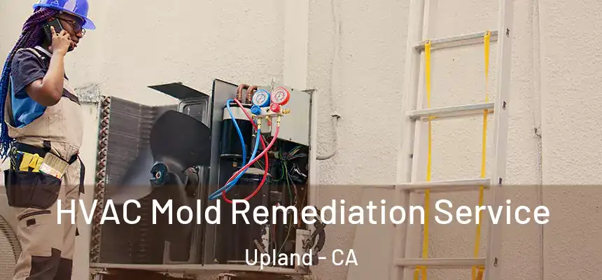 HVAC Mold Remediation Service Upland - CA