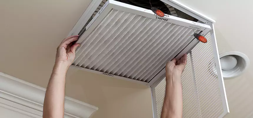 Preventive Cockroach-Proofing for Ducts in Upland