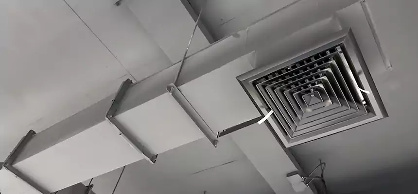 Our Rodent Droppings In Vents Services in Upland, CA