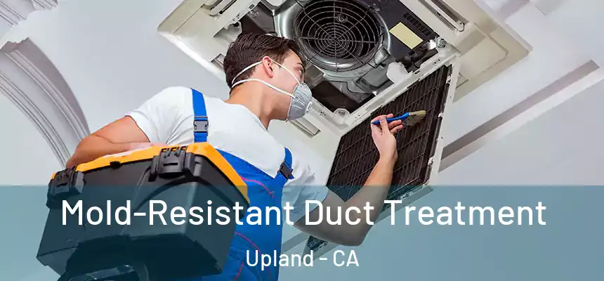 Mold-Resistant Duct Treatment Upland - CA