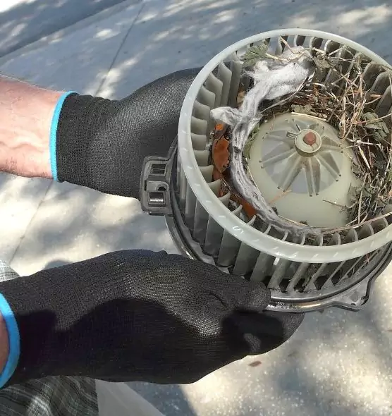 About Air Duct Mice Removal in Upland, CA