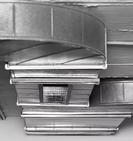 Professional Air Duct Pet Hair Removal in Upland, CA