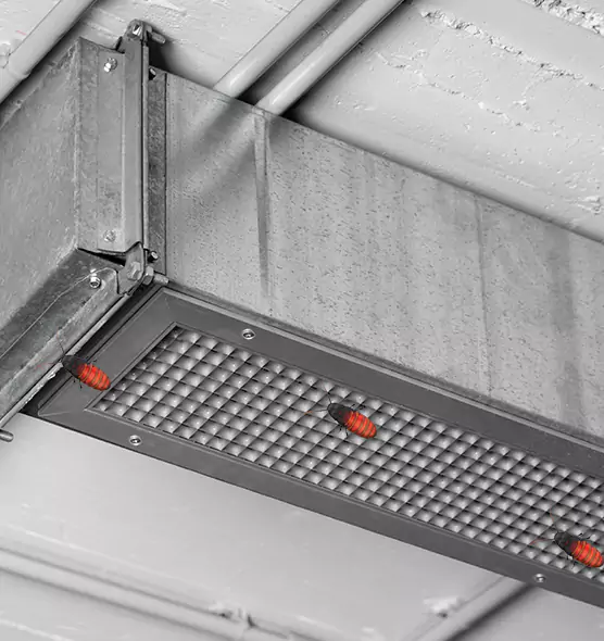 Affordable Insect Removal from Air Ducts in Upland, CA