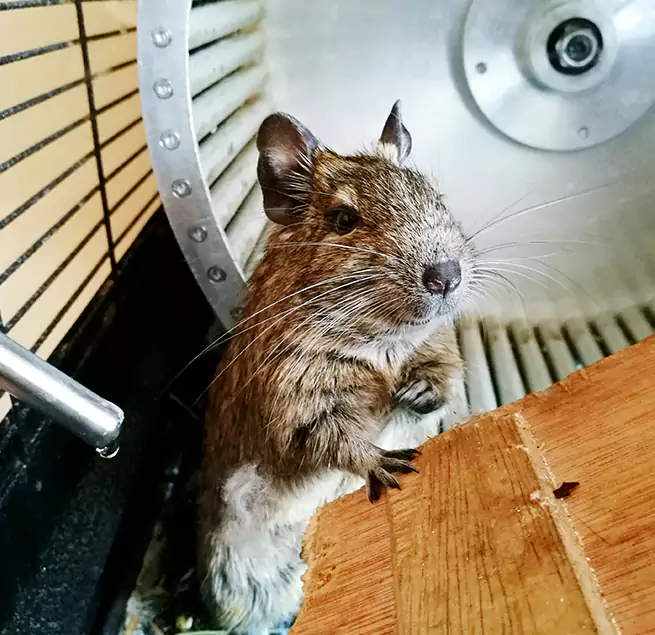 Why Homeowners & Businesses Trust Us Upland, CA